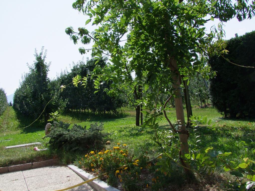 Agritur Fior Di Melo Apartman Nanno Kültér fotó